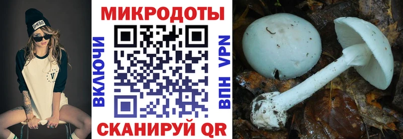 Псилоцибиновые грибы Magic Shrooms  Купить  Исилькуль 